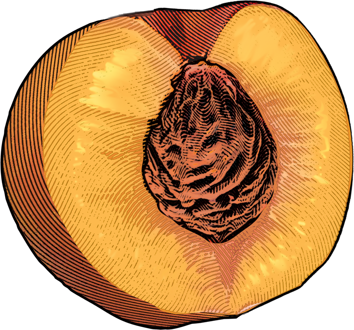 Left Peach