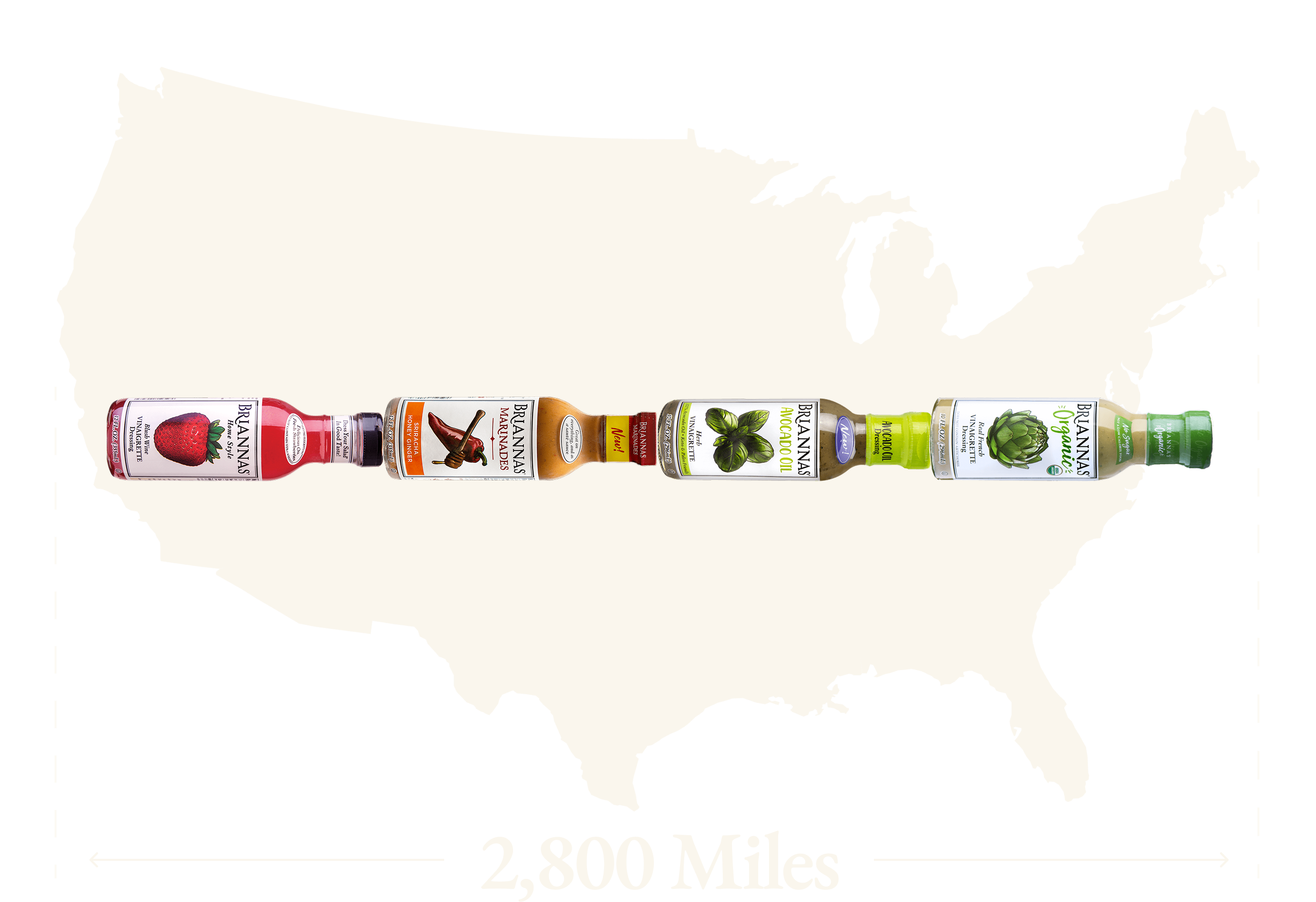 Texas map illustration