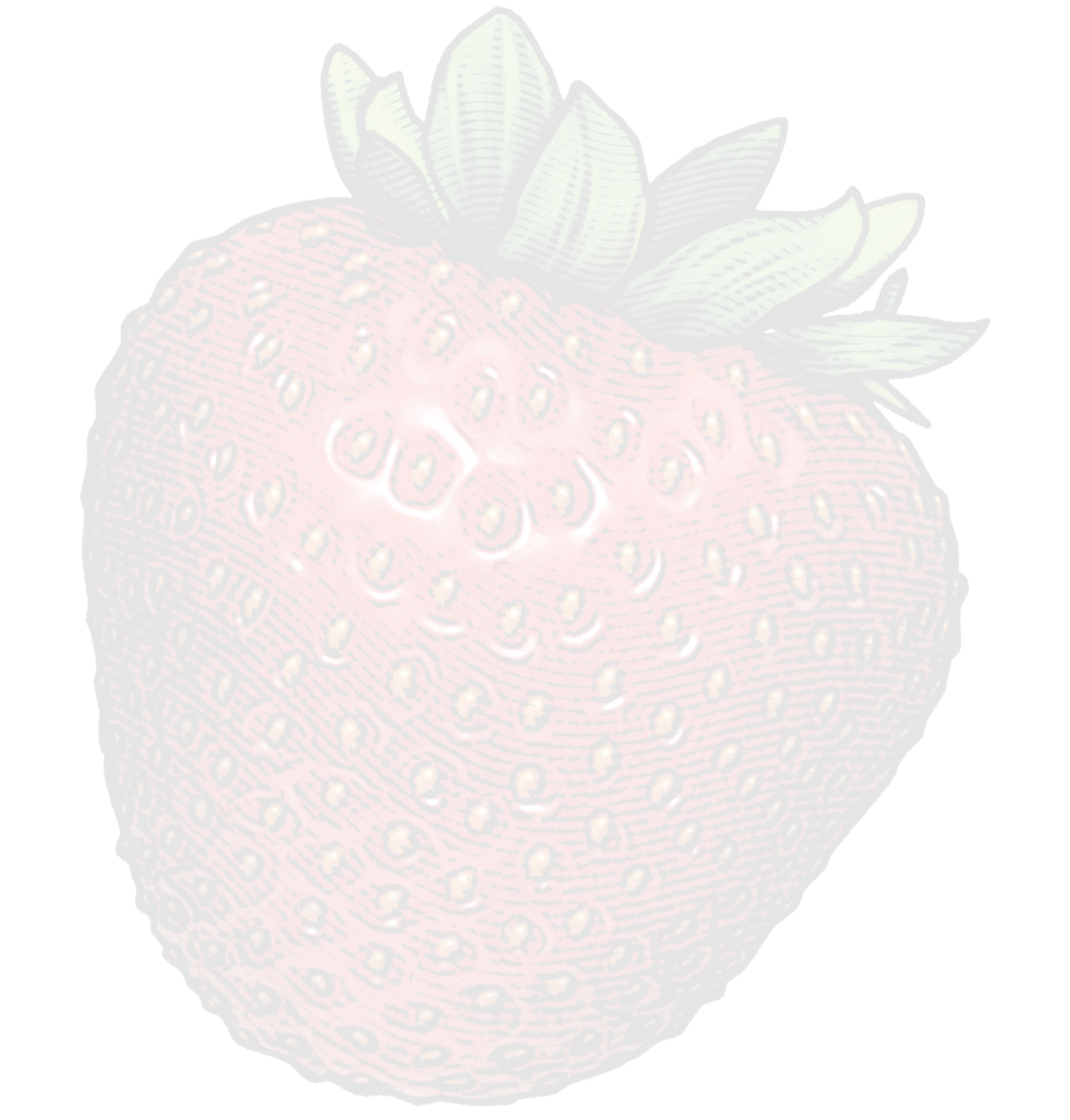 Article footer image