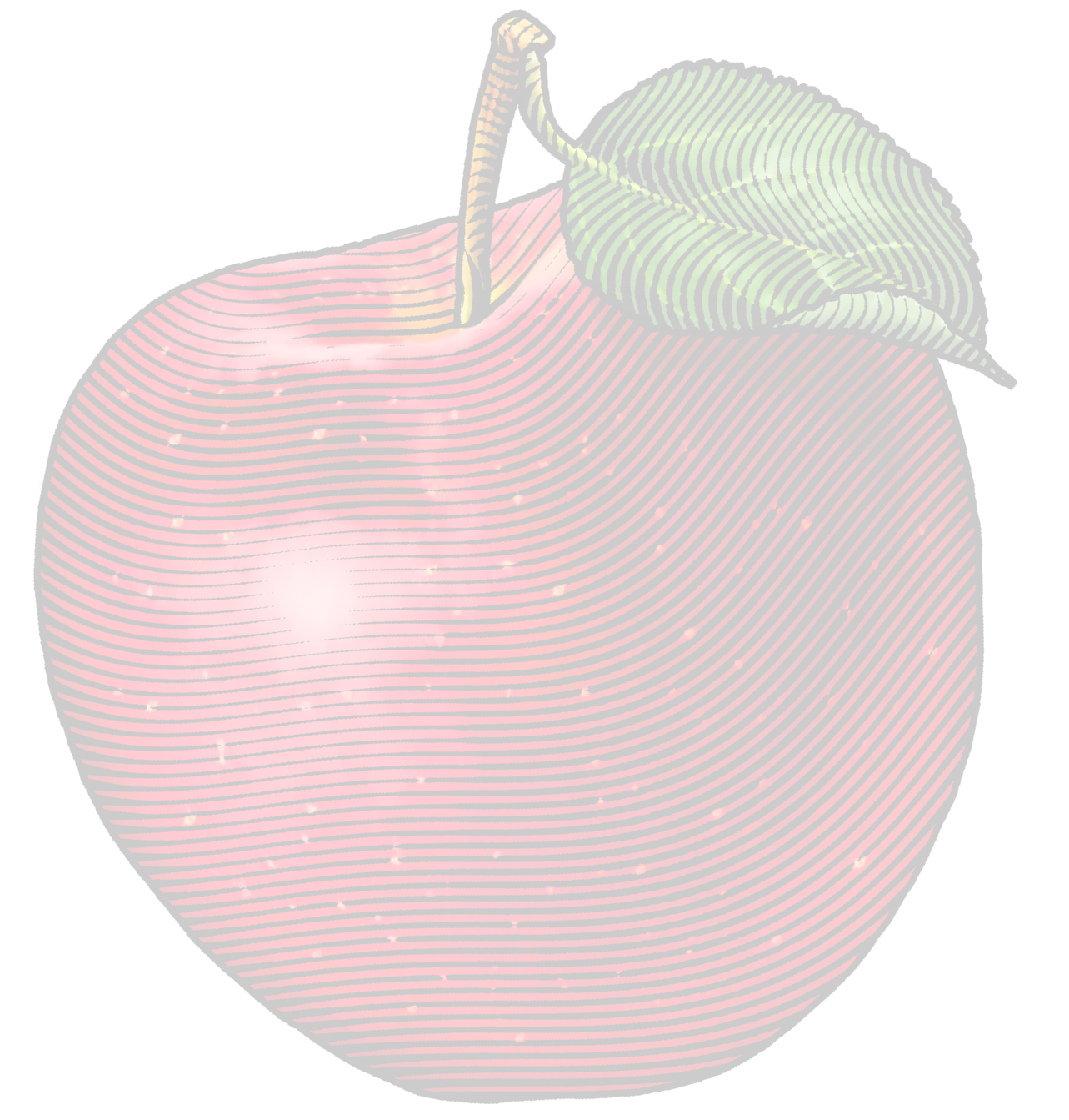 Image Widget